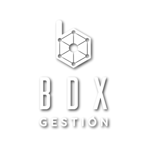 BDX Gestión